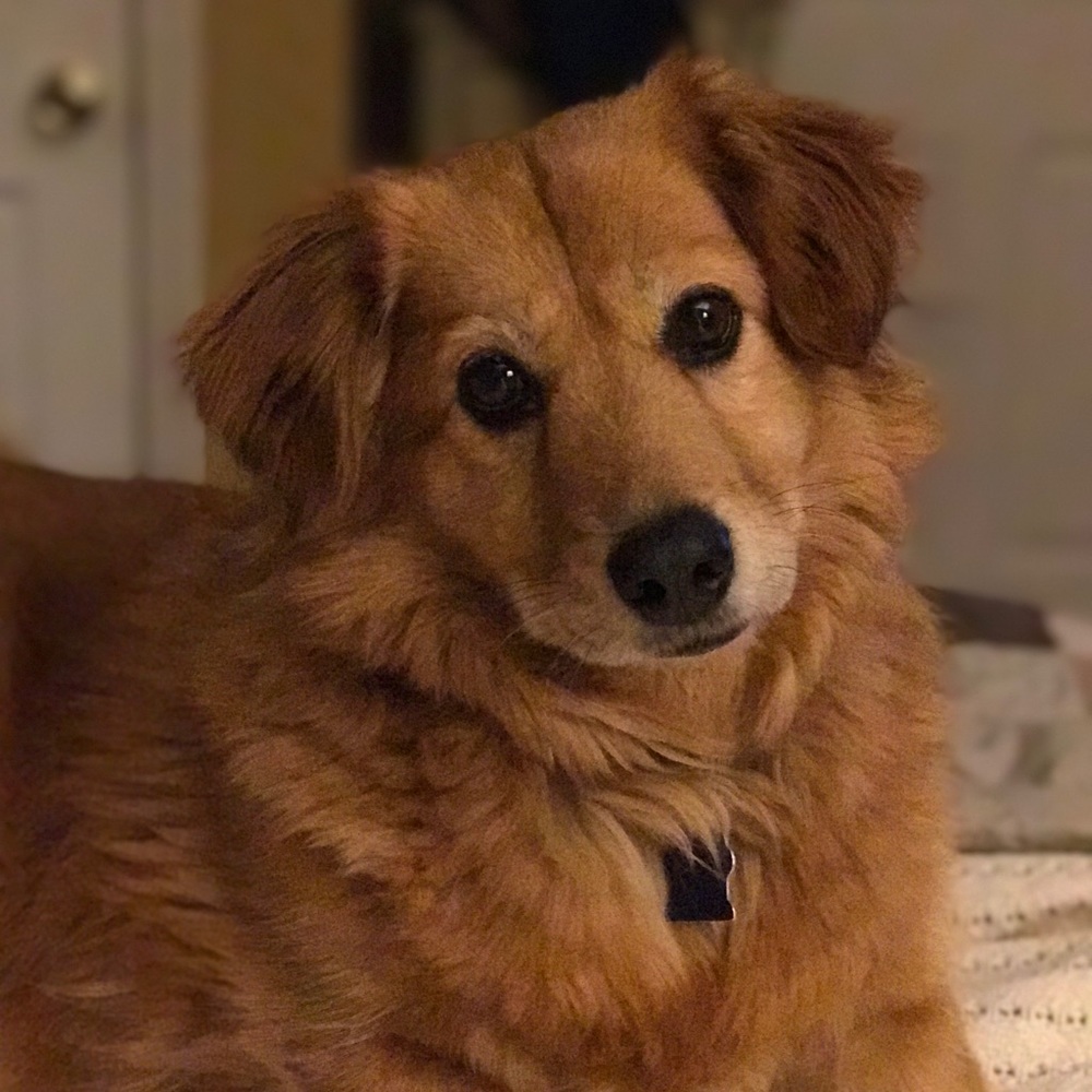 Meet your Posher, Sheri